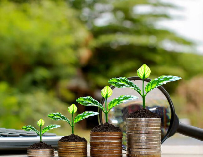Climate Finance Modeling and Advisory
